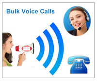 voice calls